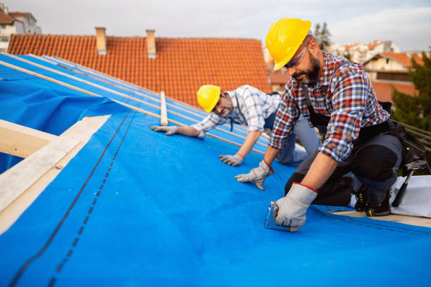 Steel Roofing in Bloomer, WI